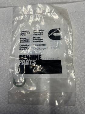 4076823 Cummins Egr Pressure Sensor Rect. Seal Ring For Isx . Pai# 121402. Ref.#
