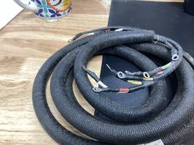 41mr3461-p1 Mack New Oem Wiring Harness