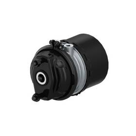 Wabco 9254813760 Tristop Cylinder 24/24 For