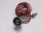 Murphy Swichgauge 20T250-16-1/2 Made In Usa (new).. Fixed Price $95.00.