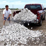 Loadhandler LH3000 Commercial Grade Full-size Pickup Truck Unloader. Fixed Price $268.99.