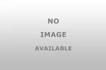 M.c.enterprz Switch 3-WAY Toggle (330583). Fixed Price $37.96.