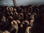 Used 1810 Series Dana Spicer 16 Spline Yoke 6.5-4-1891-1. Fixed Price $112.50.