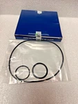 Volvo D13/ Mack MP8 Ring Kit 21976104 Made Germany. Fixed Price $28.50.