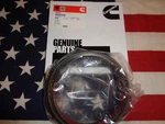 Wow 30%OFF Oem Cummins Engine Rear Main Seal #6609787.. Fixed Price $140.00.