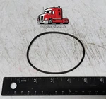 Turbo Oring For Isx. Pai# GGA-2947 Ref# Cummins 3682177 Mack 25107486 Cat 5P3863. Fixed Price $8.00.