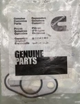 New Genuine Cummins 4973532 Gasket, Oil Cooler Core. Fixed Price $11.95.